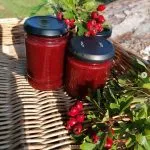 hawthorn ketchup
