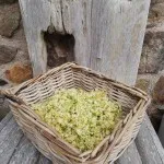Linden Tea