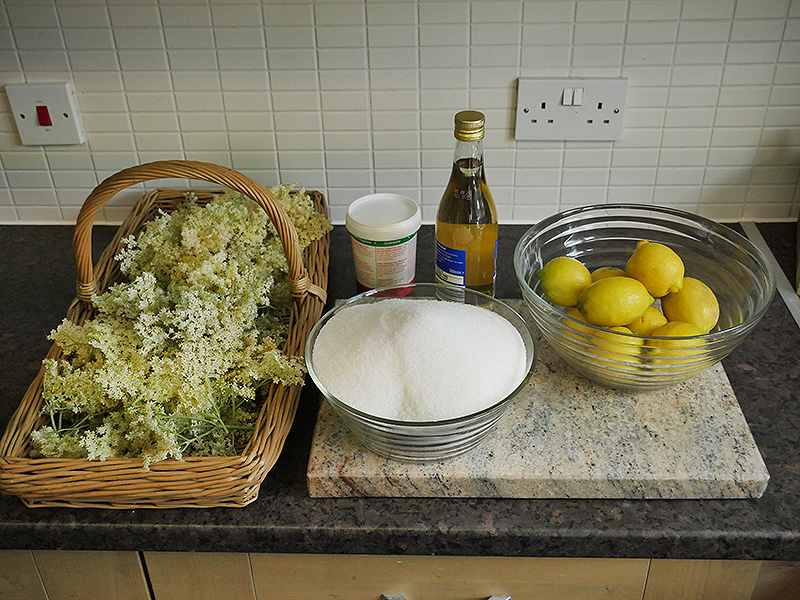 Elder Flower Champagne